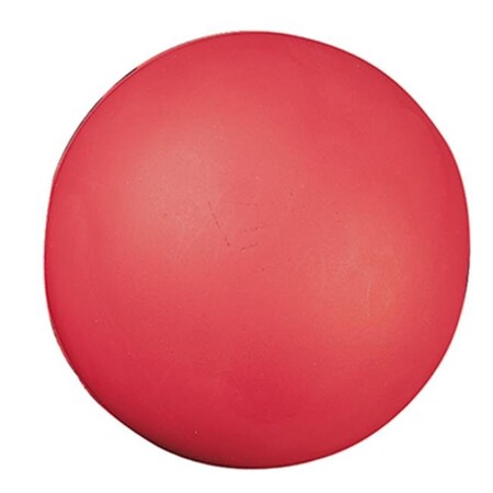 Champion Sports Champion Sports CHSHD85 High Density Coated Foam Ball 8In CHSHD85